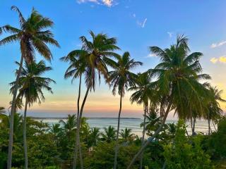 The Tree House - Arugam Bay - 8