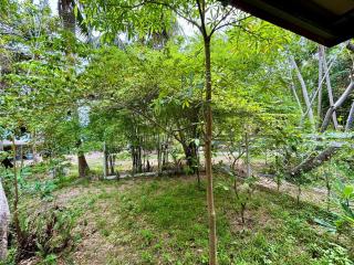 Zen Harmony Haven - Ko Phangan - 4