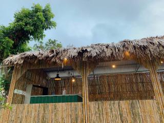 Mountain bamboo s - Hai Phong - 7