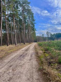 Siedlisko Kochówka - Pszczew - 3