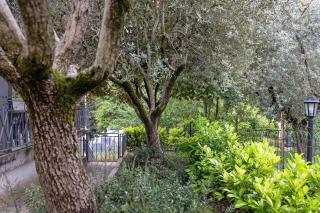 Camere Amè - Peschiera del Garda - 6