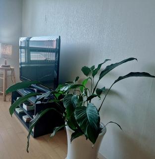 Cozy - Good Vibes Studio - Incheon - 4