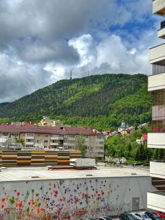 Tampa Sunshine Apartment - Braşov - 9