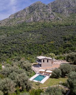 Family House Giardino Verde - Bar - 9