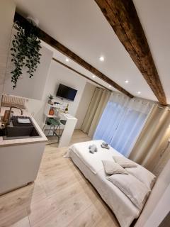 Suite cosy indépendante Evasion env Colmar - Wintzenheim - 9