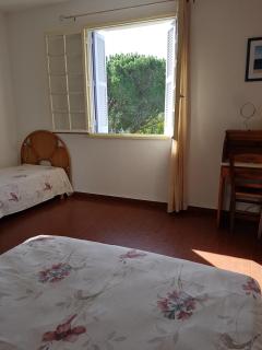 Appartement 1 à Regino Speloncato pour 3 personnes - 6