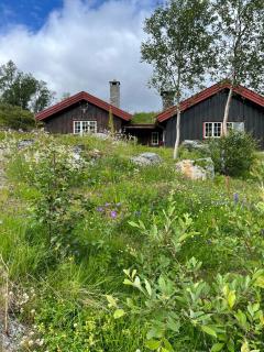 Family-friendly cabin in idyllic mountain setting - 0