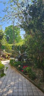 Regina Hotel e Ristorante - Punta Marina - 4