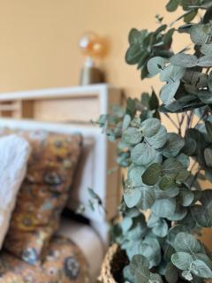 Studio La Petite Oasis- Idéal couple - calme - balcon sud - lumineux - 10min du centre & plage - proche Centre Juno Beach - wifi - Courseulles-sur-Mer - 5