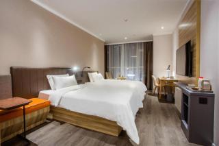 Hanting Premiun Hotel Nanchang Honggutan Wanda Plaza - Nanchang - 3