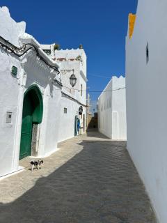Stella Maris - Asilah - 8