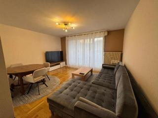 BEL APPARTEMENT Standing - Limoges - 0