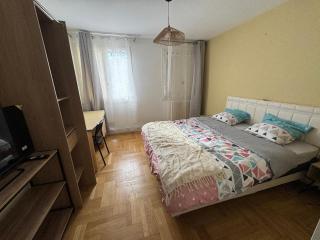 BEL APPARTEMENT Standing - Limoges - 1