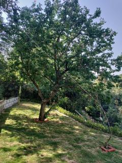 The Nilayam Cottage Homestay - Jāmb - 9