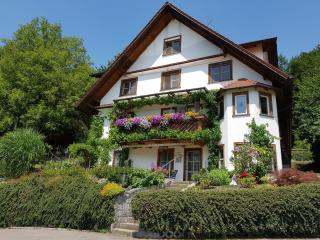 Ferienwohnung Sonnenschein - Unterreitnau - 9