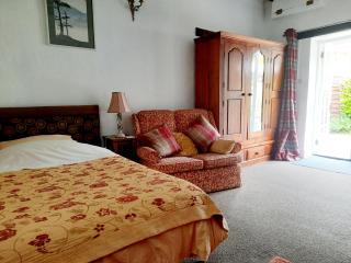 Spacious double, Shower en-suite, Desk & Patio - 1