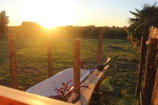 Freefall Cottage - Haumoana - 2