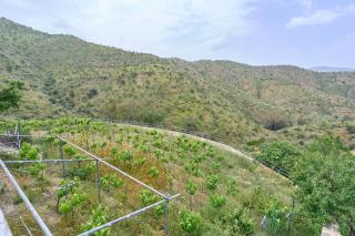 Cortijo Grande - Rubite - 8
