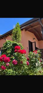 Casa Vacanze Galileo - San Gregorio - 4