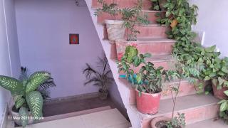 Green male rooms - Bhopal - 1