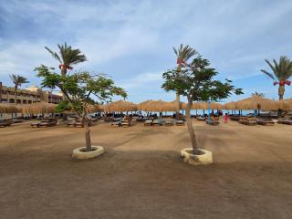 Tiba Golden Down Town - Hurghada - 7