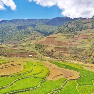 Hương Siu homestay - 1