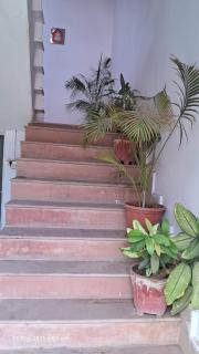 Green male rooms - 2