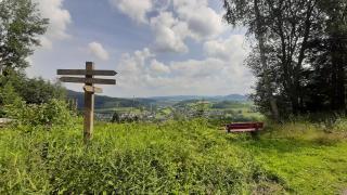 Vergissmeinnicht Sauerland - Schmallenberg - 6