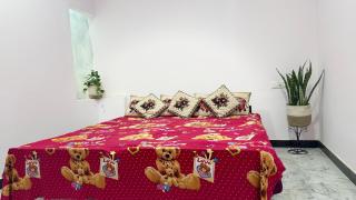Kalp-Taru homestay - 6