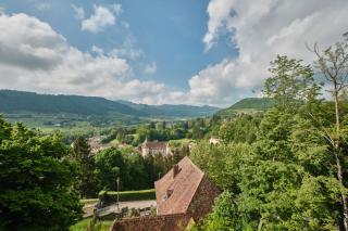 Chambres au Chateau Saint-geoire - Saint-Geoire-en-Valdaine - 8