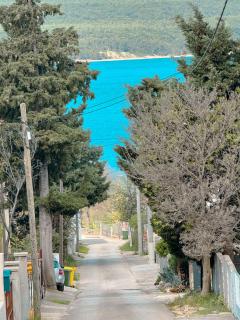 Sunny Day by Mare - 0