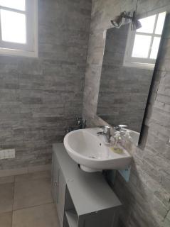 La néo-bretonne forestière - 5