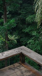 The Karu Cabin - Penebel - 6