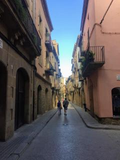 Hotel La Freixera - Solsona - 9
