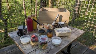 Ti'Nid, cabane chaleureuse plongée dans la nature - 2
