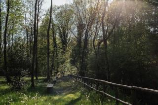 Appartamento ACQUA - A Casa di Lu - Colazza - 3