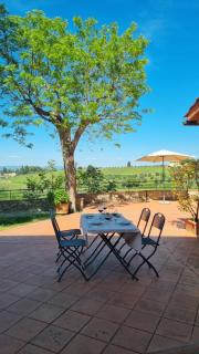 Agriturismo Bruscola - San Casciano in Val di Pesa - 7