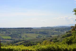 Agriturismo Bruscola - San Casciano in Val di Pesa - 2