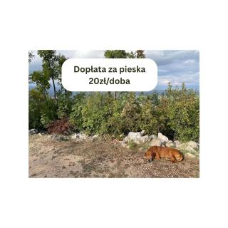 Łąkowa Dolina - domek letniskowy - 7