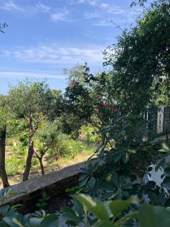 Relax and enjoy - Raches - 8