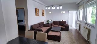 Park Apartment Ilidza - Sarajevo - 6