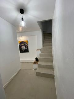Charming 3 rooms with terrace - Vence - 1