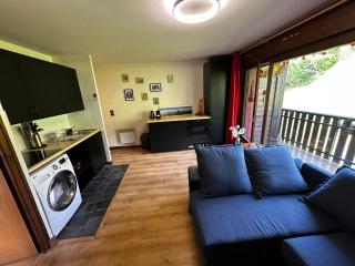 Appartement style chalet - 2