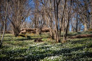 Tranås Vandrarhem - 1