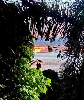 Alma & Paloma Villas - Ko Pha Ngan - 5