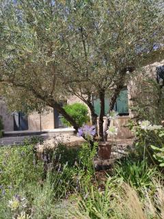 Charmante Villa avec piscine - Fontvieille - 7