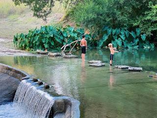 Creekside Safari Tent Chic: Experience Wild Comfort in Cibolo, Texas - Marion - 1