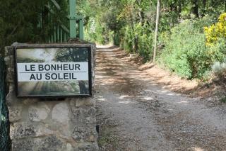 Le bonheur au soleil - Saint-Maximin-la-Sainte-Baume - 2
