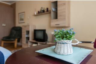 Slavija Apartment - Belgrado - 0