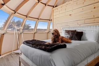 Spacious Unique Pod Perfect for a Secluded Escape in Texas - Hilltop - 2
